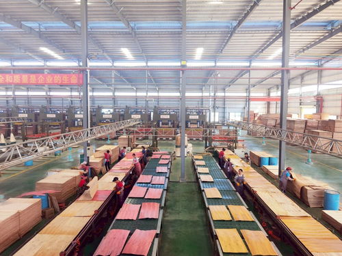 啟陽新材料 勇立潮頭，成為貴港首家獲全國工業產品生產許可證的飼料原料銷售企業